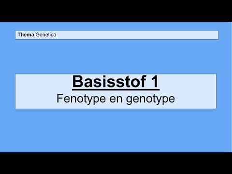 Video: Wat is 'n fenotipe in biologie?