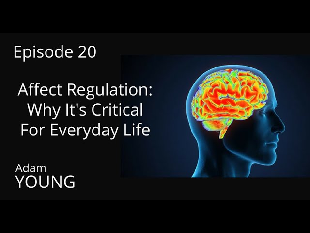The Place We Find Ourselves with Adam Young 20 Affect Regulation: