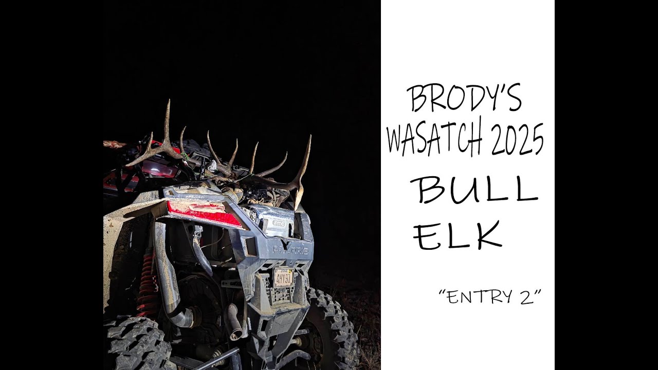 Brody's 2025 Utah Limited Entry Bull "Entry 2"