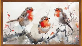 Robins Birds | Soft Piano Music | TV Screensaver Wallpaper Background | Vintage Framed Art for TV screenshot 2