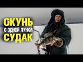 Окуни загибали удочки. Судак и крупный окунь с одной лунки. Выход рыбы.