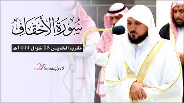 تلاوة بلمحات الكُرد من الشيخ د. ماهر المعيقلي لما تيسّر من سـورة الأحقاف | مغرب الخميس ٢٨-١٠-١٤٤٤هـ