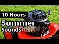 Sounds of SUMMER ★ 10 Hours AMBIENCE for Relaxing, Sleep, Meditation and CREATIVITY