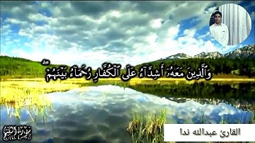 محمد رسول الله | آخر سورة الفتح😍❤️ |  عبدالله ندا