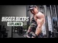 3 Techniques for MASSIVE BICEPS! || Bicep Training EXPLAINED