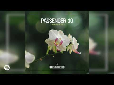 Passenger 10 - Well Tempered