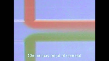 Microfluidic flow control