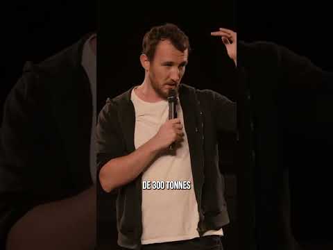 Les avions Ryanair