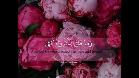 سورة الليل - ماهر المعيقلي / حالات واتس اب اسلامية