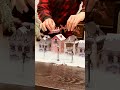 Unveil the Magic: Crafting a Cozy Christmas Village with Plaster Houses