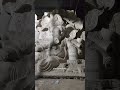 48. Dhoolpet #2026 #nandanihema #arts #ganesh #ganesha #ganpati #viral #trending #shorts #navratri