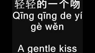 The Moon Represent My Heart by Teresa Teng (with lyric)