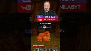Quando passeggi nella palude e incontri @SguazzaTV  #minecraft #streamer #twitchitalia #geminilab