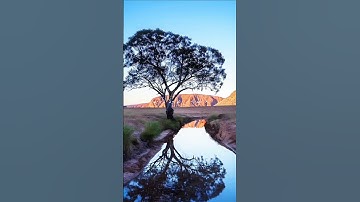 #قال رسول الله صلى الله عليه وسلم من قرأ سورة الكهف في يوم الجمعة أضاء له من النور ما بين الجمعتين؟