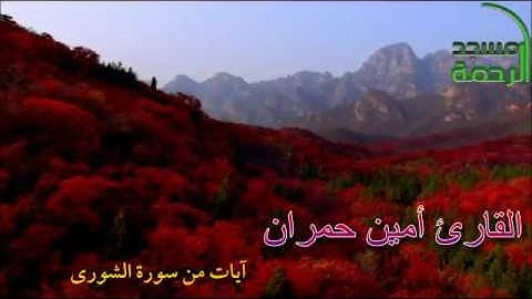 آيات من سورة الشورى للشيخ أمين حمران