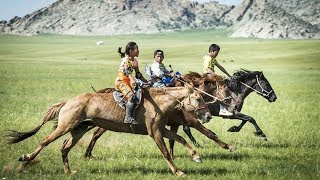 The epic horse race across the Mongolian steppe - BBCURDU