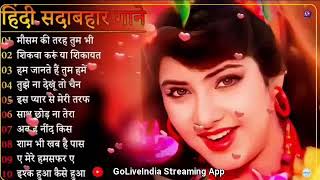 बेस्ट हिंदी सदाबहार गाने❤️ | Best Hindi Sadabahar Gane❤️| Evergreen Song Alka Yagnik,Udit Narayan |