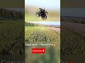 GEPRC CineLog30🚁🔥 #fpv #fpvdrone #geprc #cinewhoop #fpvcinematic #fpvbeginner #fpvtraining #shorts