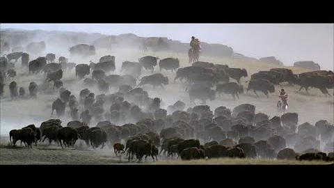 Buffalo Hunt -- Dances With Wolves - DayDayNews