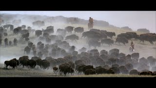 Buffalo Hunt -- Dances With Wolves