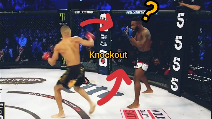 Knockout - Raymond Daniels vs Wilker Barros