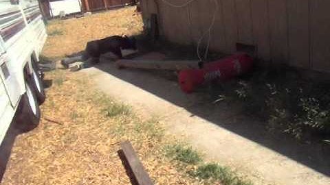 Boardslide on Ghetto Rail - Gone Wrong!