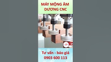 Máy Phay Mộng Âm Dương CNC 16 Đầu Dao