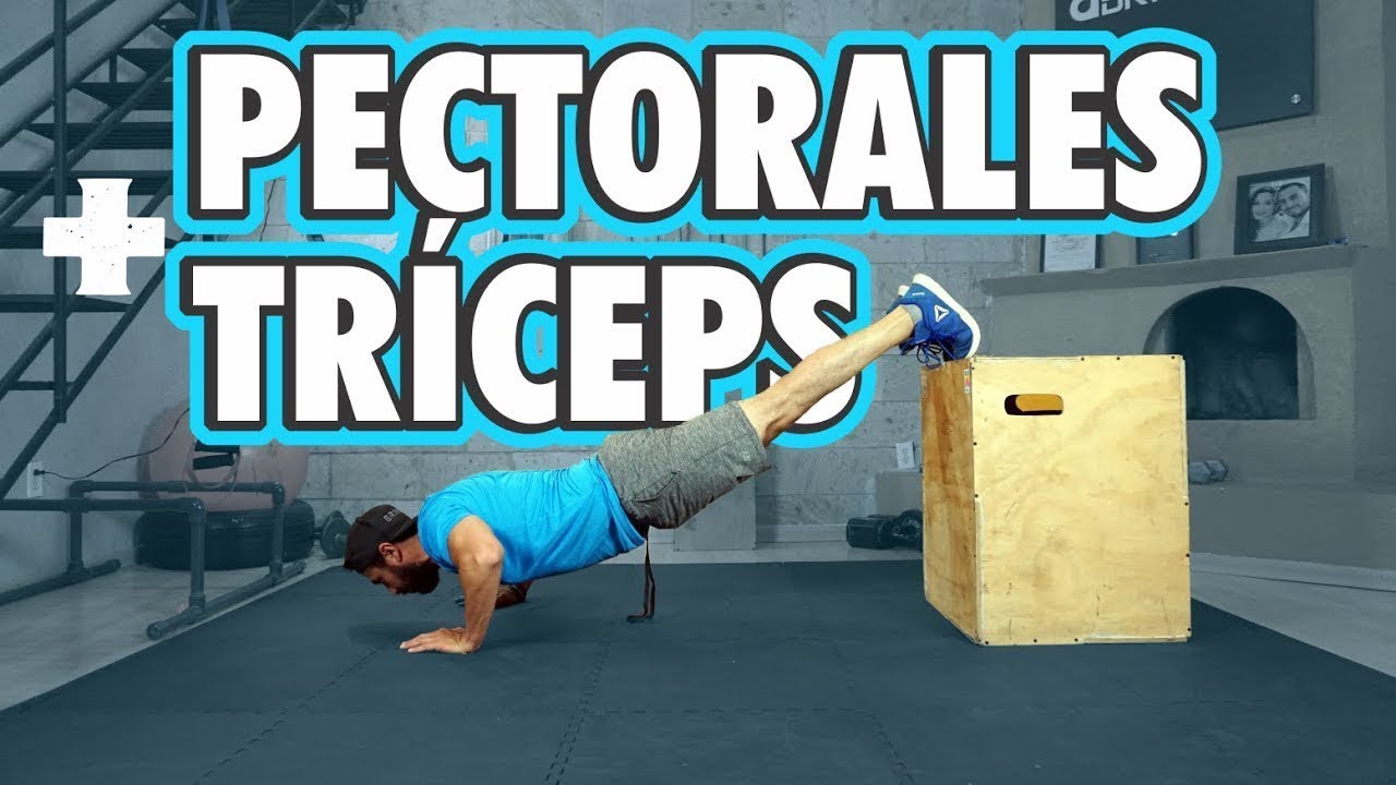 Rutina de PECHO Y TRICEPS En Casa 🏠 SIN PESAS!!! 🔥 - YouTube