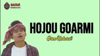 Download lagu HUJOU GOARMI - OSEN HUTASOIT LIRIK | UN |