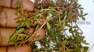 Eddagala Lirino Baliyita Bwanda Obade Omumanyi Nti Bwanda Bwati Bwafanana