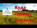 Куда спешит Украина