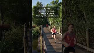 Top Things to Do This Spring in Alexandria, VA #travel#spring
