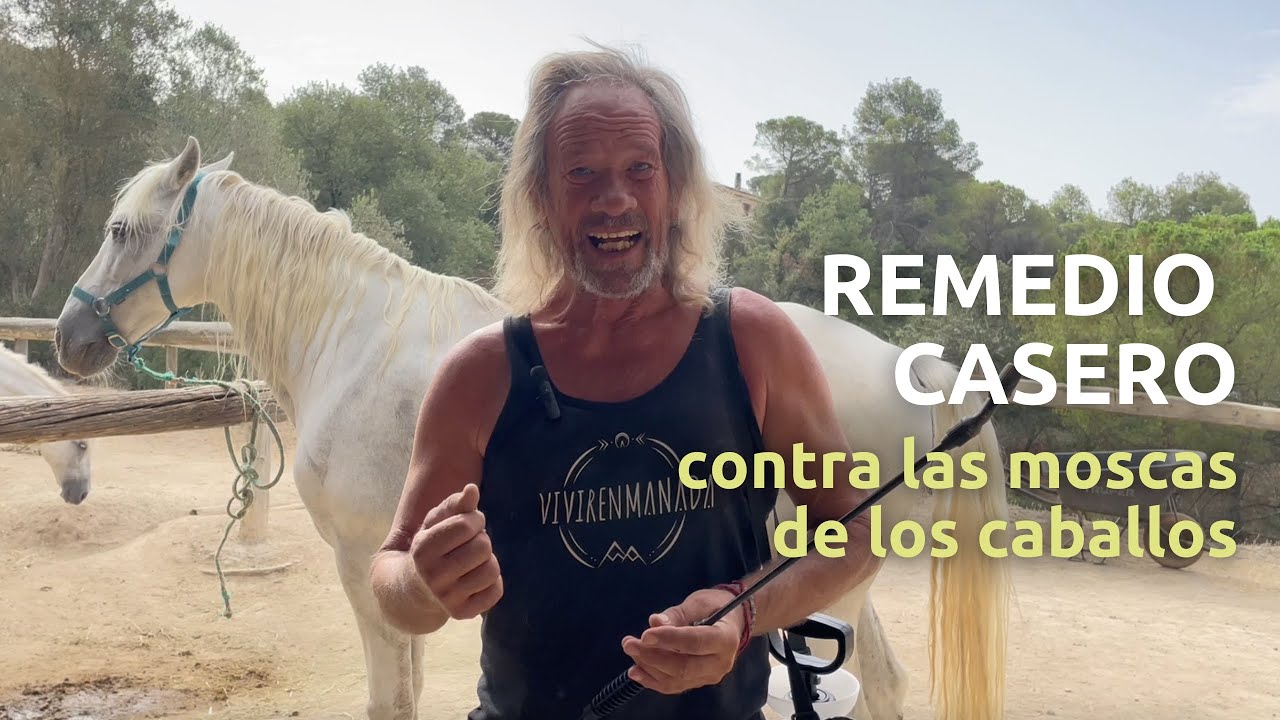 Remedio casero contra las moscas de los caballos, totalmente inocuo y natural.