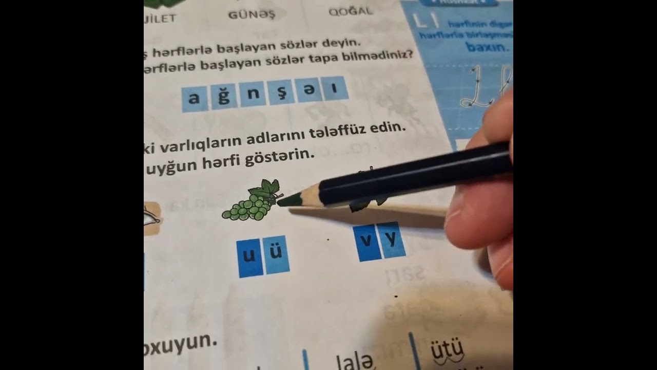 Azərbaycan dili 1 ci sinif dərslik 1 ci hissə səhifə 13 ətraflı izahat verdim oxudum