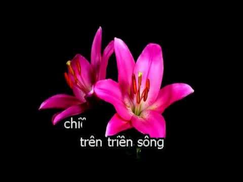 Thương Quá Việt Nam Ơi Karaoke Tone Nam Dễ Hát  Karaoke Nhạc Sống Thanh  Ngân  YouTube