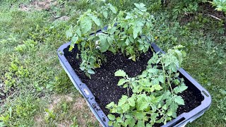 How I built an earth box