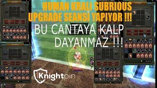 Human Krali SUBRIOUS Upgrade Yapıyor! Yatırım mı, Kumar mı? l Subrious l Knight Online l