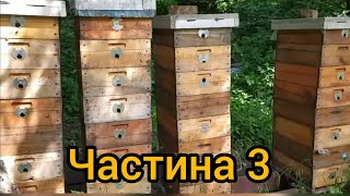 Утримання бджіл на 145 системі ( 8 рамок) - Частина 3