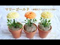 ソープカービングのマリーゴールドアレンジメント方法｜How to arrange soap carving marigold