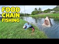 Food chain fishing  monster mike