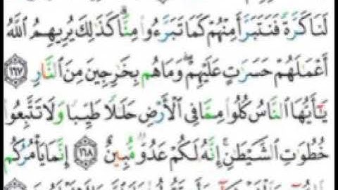 سورة البقرة-حفظ وتكرار الآيات167-168-169 #فجاءة_خاطرة