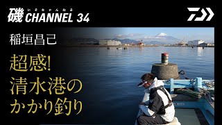 稲垣昌己『超感！ 清水港のかかり釣り』の巻｜第三十四回　磯ちゃんねる