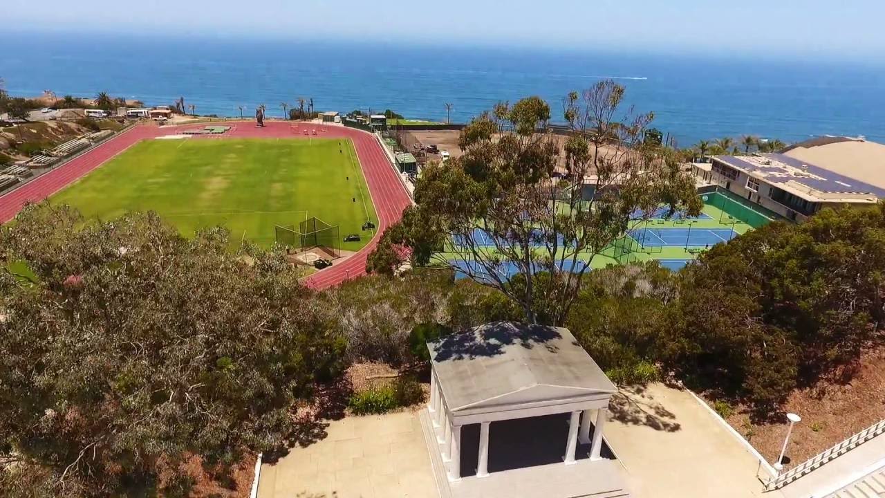 Point Loma Surf YouTube