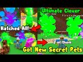 Got Ultimate Clover New Secret Pet! Hatched All New Legendary Update - Bubble Gum Simulator Roblox