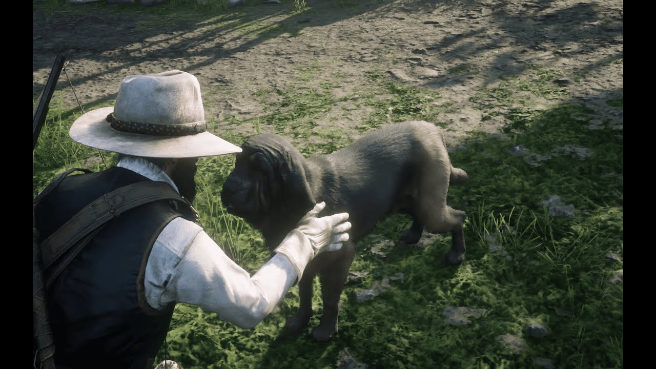 Bloodhound Location [Red Dead Redemption 2] - YouTube