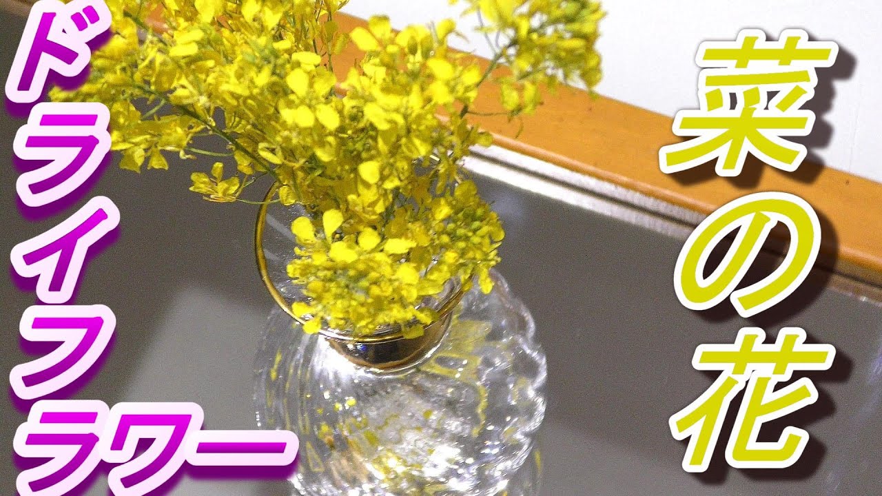 ドライフラワーの作り方 菜の花 - YouTube