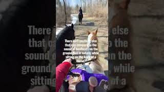 ASMR Hoofbeats on the Trail