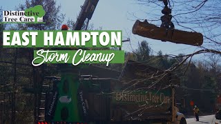 Log Truck in East Hampton For Storm Damage Cleanup