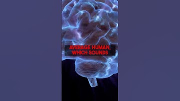 transcribethis.io: AI audio better than human for $29.99/month. Full walkthrough.