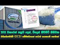 2013 වසරෙන් පසුව දෙස්, විදෙස් කිරිපිටි කිසිවක ඩයිසයිනමයිඩ් (DCD) සම්බන්ධයෙන් ගැටළු පැනනැඟී නොමැත!